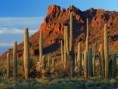 /album/bilder/arizonagalleri7-jpg/